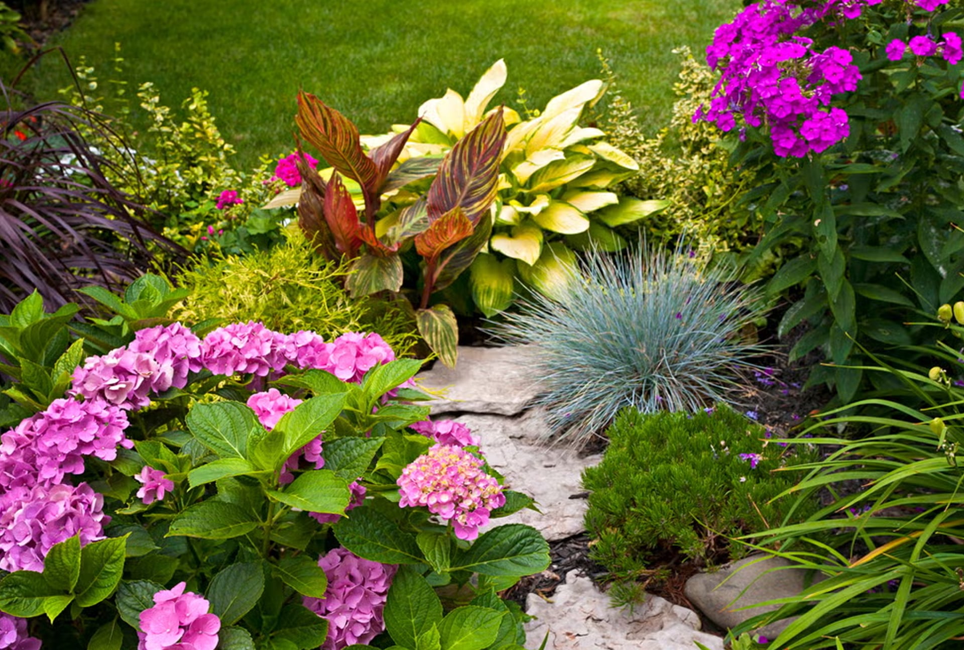 Lawn aeration service