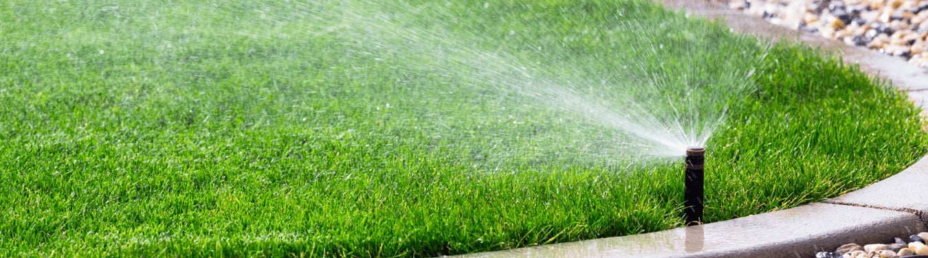Garden pond installation