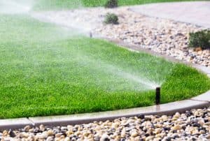 Complete Yard Makeover