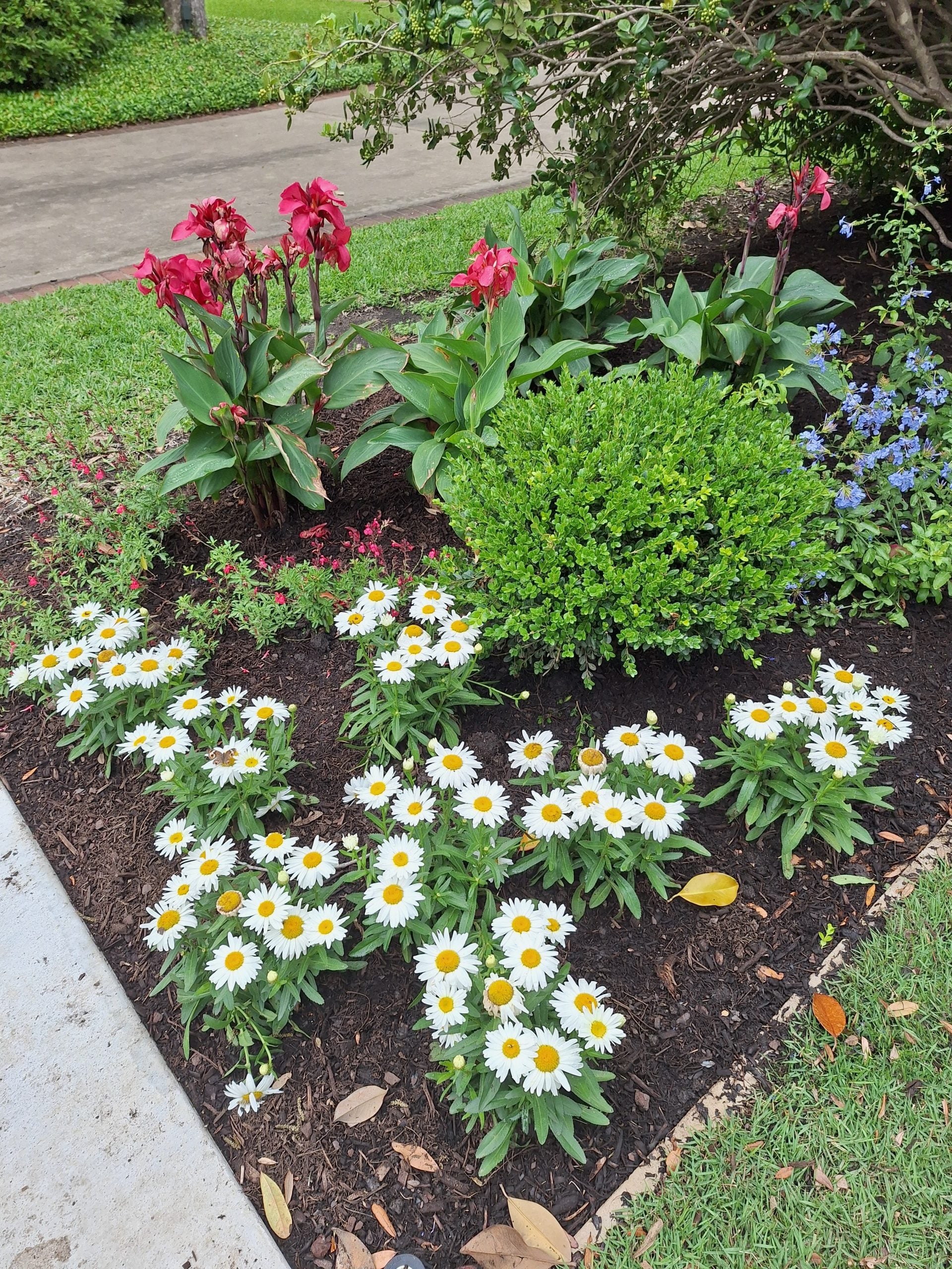 Custom landscape design