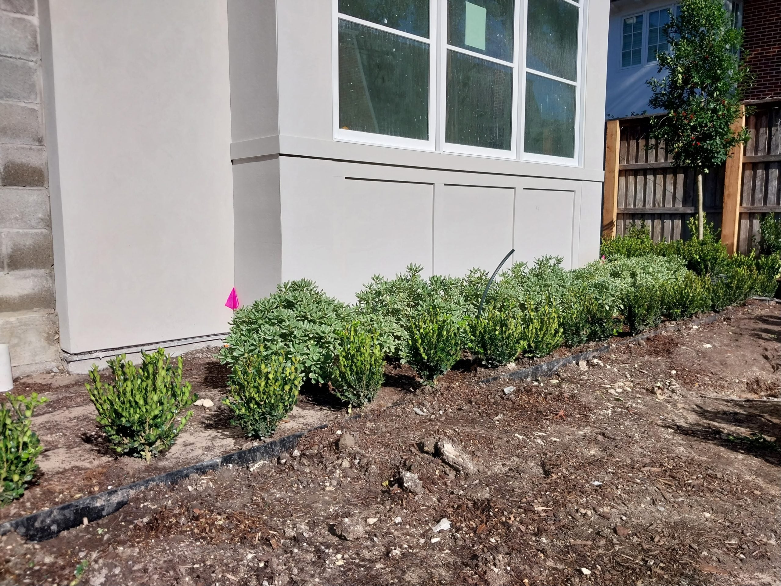 Garden transformation