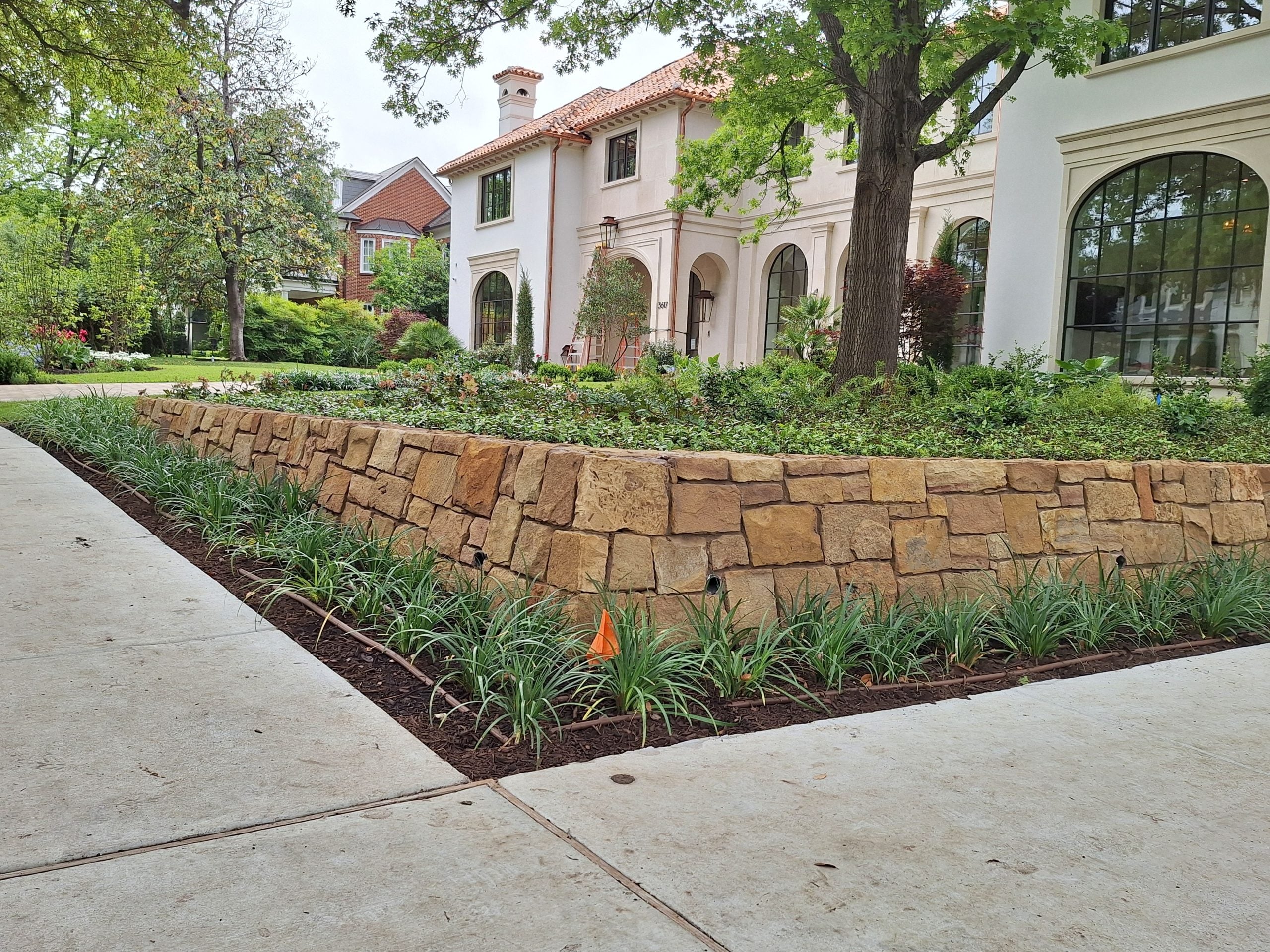 Tree trimming service