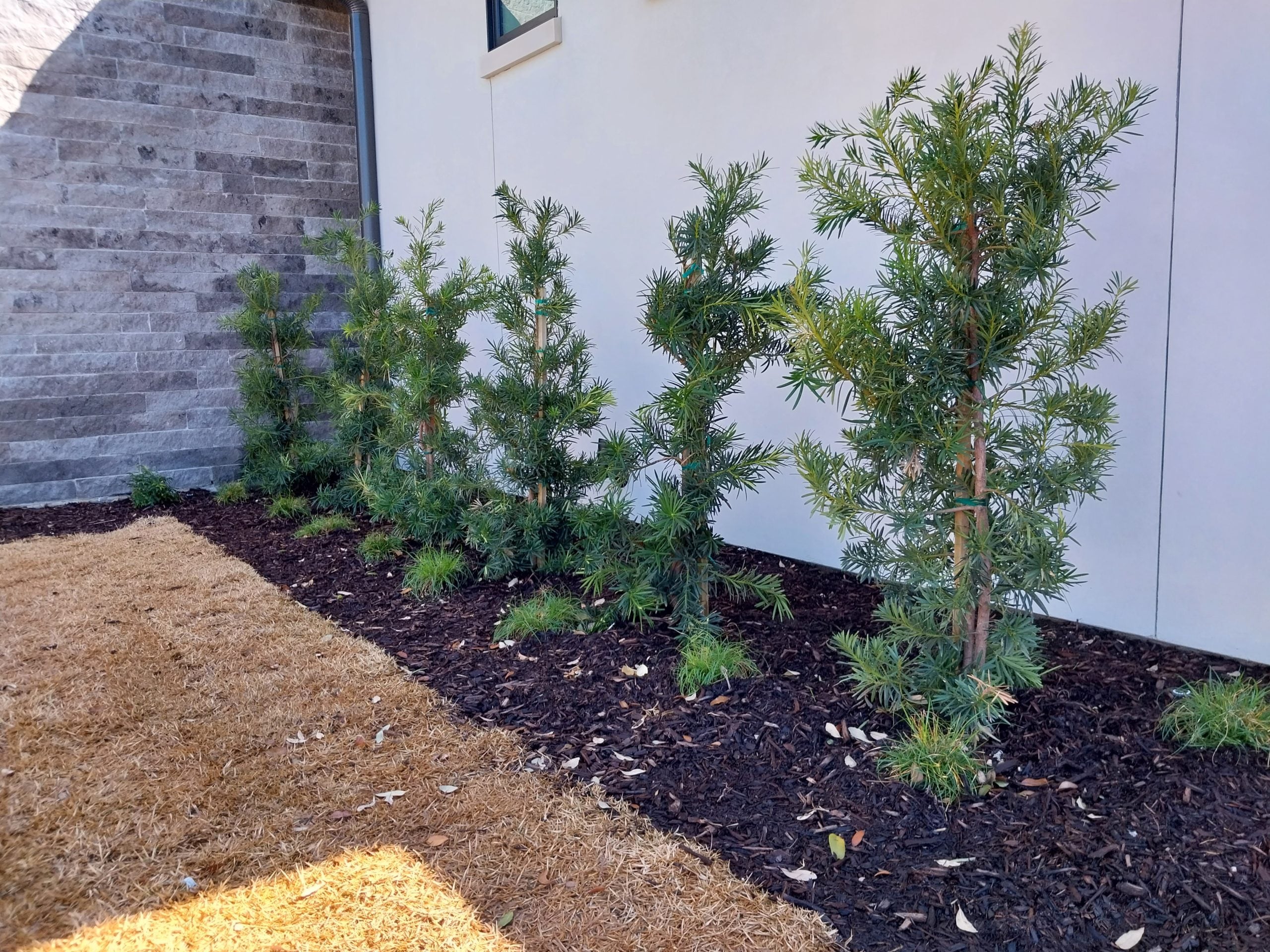 Patio installation project