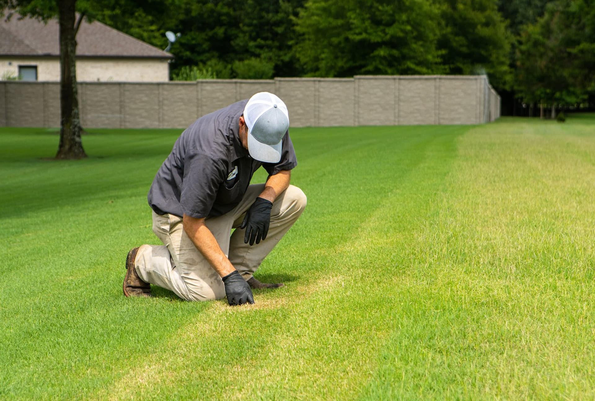 Landscaping Services project 2