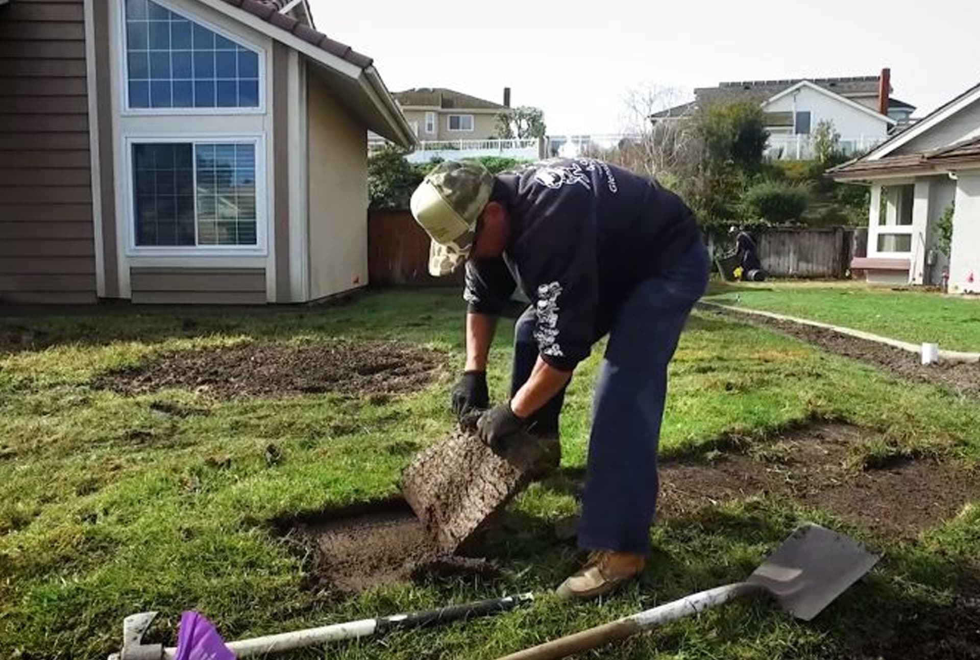 Lawn Health & Protection project 3