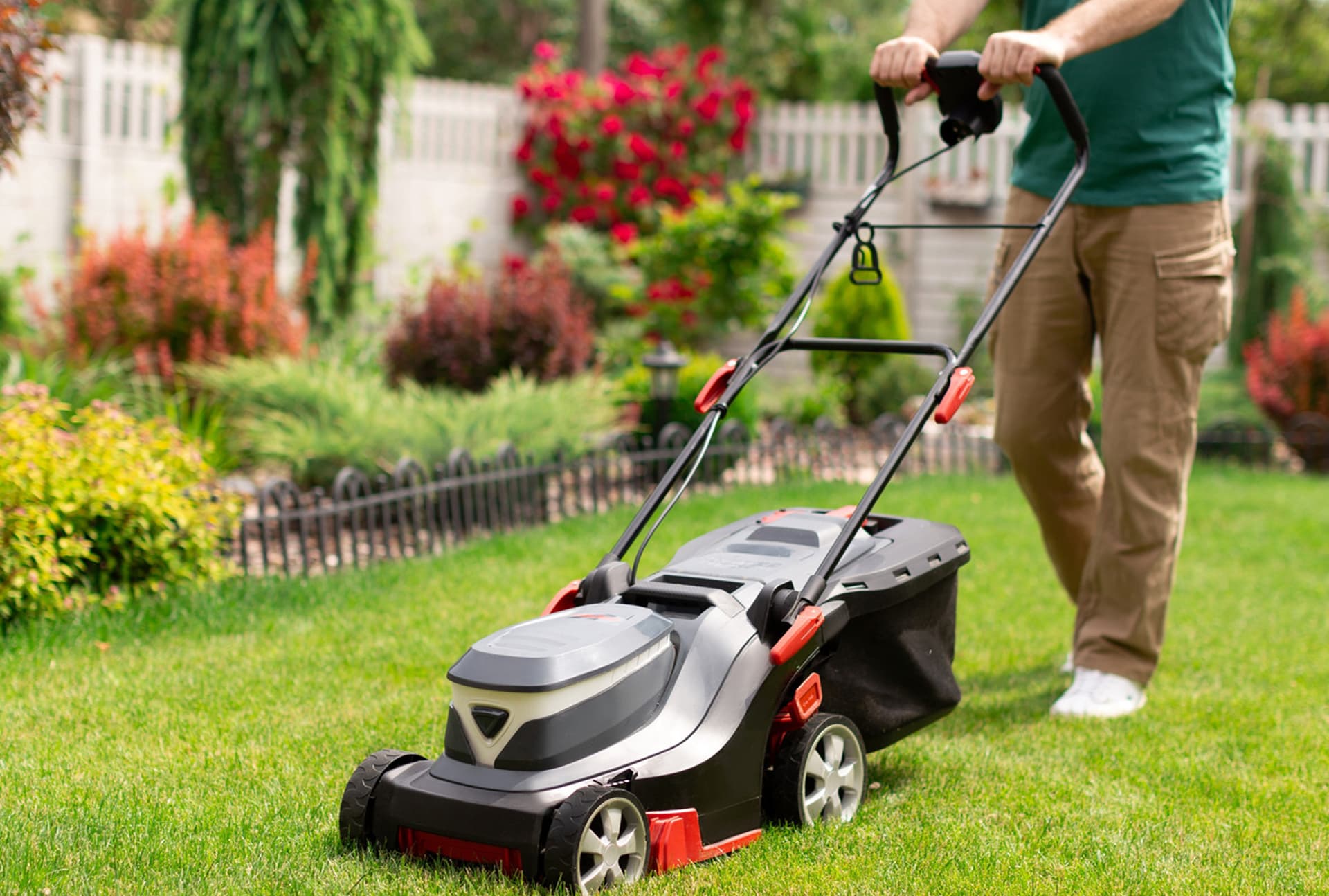 Tree & Plant Health Management project 9