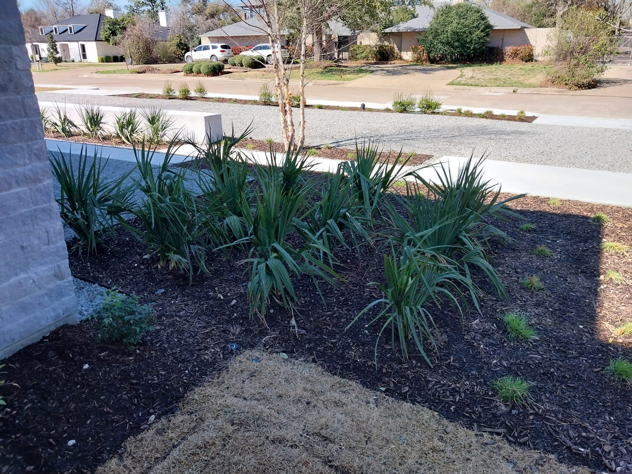 Tree & Plant Health Management project 4