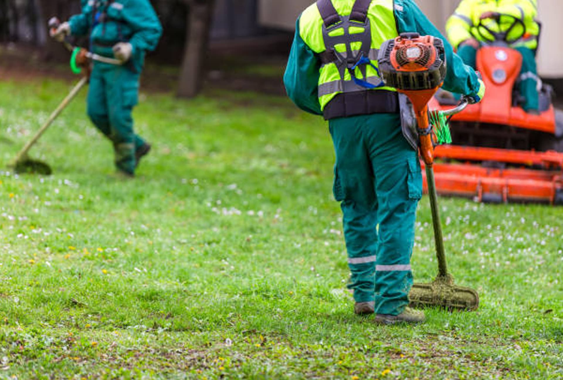 Our Services Include