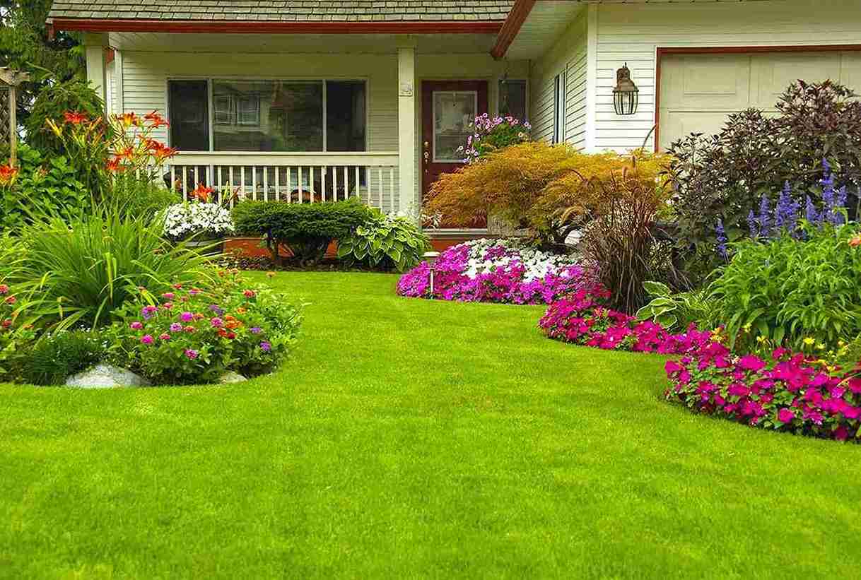 Professional Landscaping & Lawn Care Services in Columbia, SC