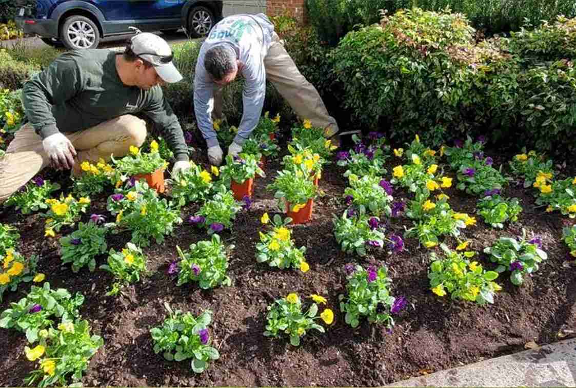 Professional Landscaping & Lawn Care Services in Virginia